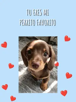 Perrito