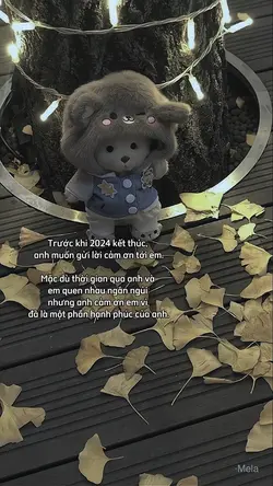 Kết thúc 2024