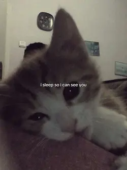 Sailor Song