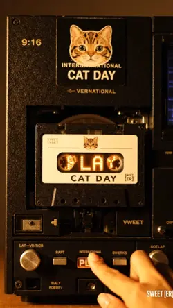 CAT DAY