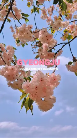 여행브이로그