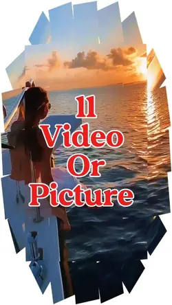 11 video or picture 