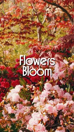 Flowers bloom