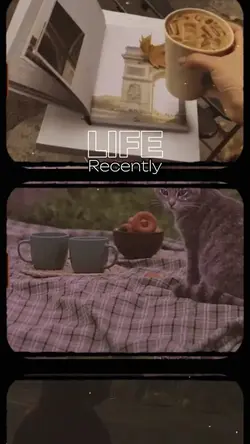 Cinematic Filmroll