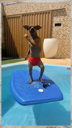 treme o bumbum