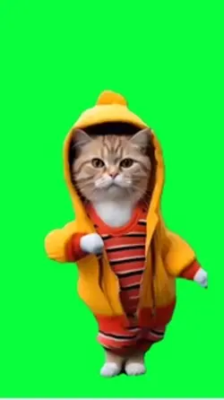 Cat green screen