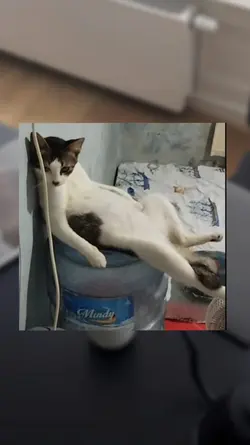 JJ LAGI SANTAI KAWAN