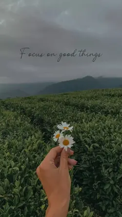 EVERYTHING