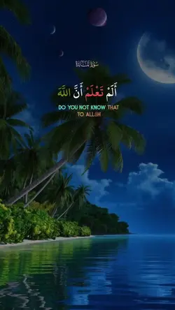 Quran_س_المائدة_قران