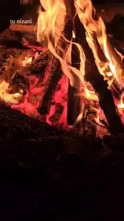 tü nizani 