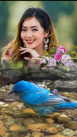 Birds Template