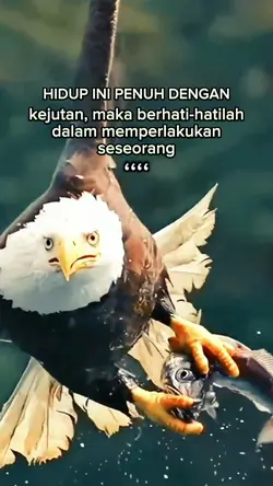 hidup penuh kejutan