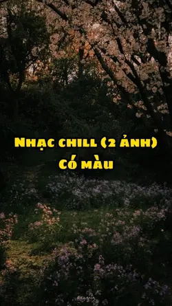 Mẫu nhẹ nhàng chill