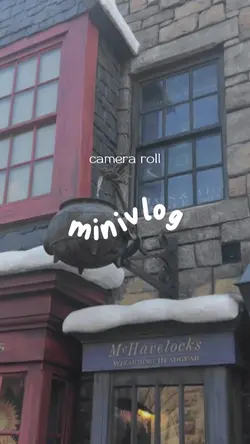 mini vlog
