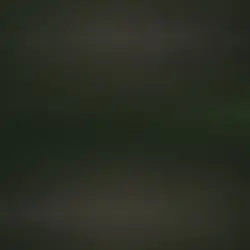 Koe