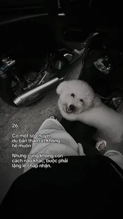 1 ảnh + màu
