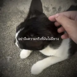 อย่าลืมความจริง 