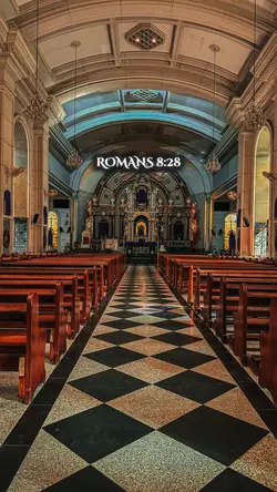 ROMAN'S 8:28