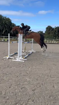 Tink jumping super 🫶