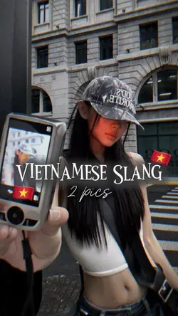 Vietnamese Slang~ 2p