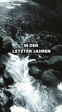 viel gelernt 