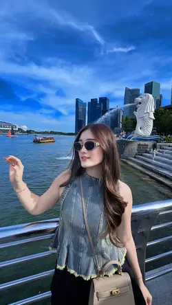 Filter hd 