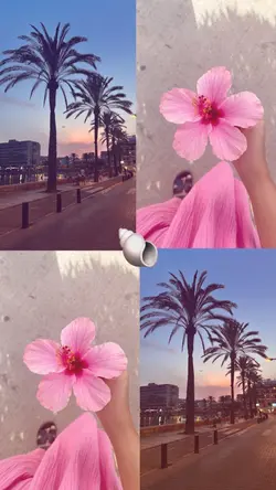 Summerrrr 