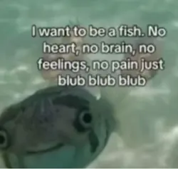 I WANNA BE A FISH