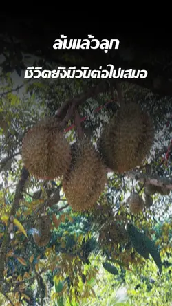 อยู่อย่างสิงห์
