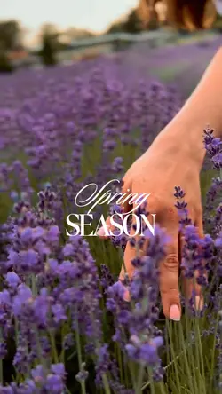 Spring coming