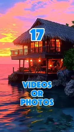 17 videos or photos 