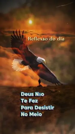 Reflexão do dia 