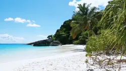 need vacation 