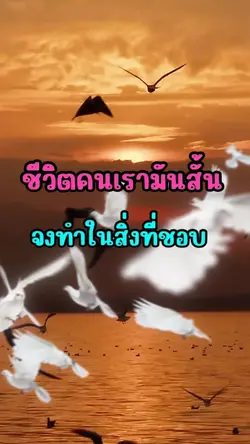 อ้อ ว.