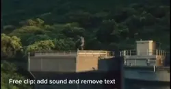 Funny dinosaur