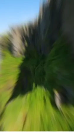 New template