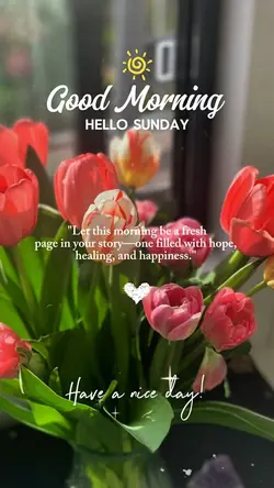 Hello Sunday 🌸❤️