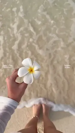 Summer Is Here