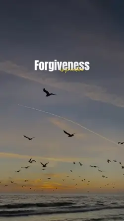 cinematic islamic 
