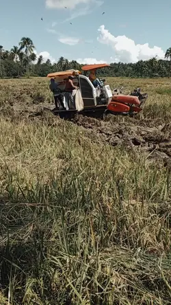 Buhay Probinsiya
