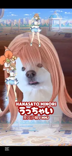 UTCHEI MINORI MMJ