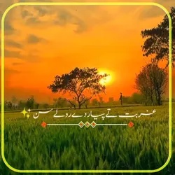 Mesam Kohkar New doh