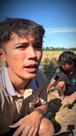 Ngủ cũng phi phai ăn