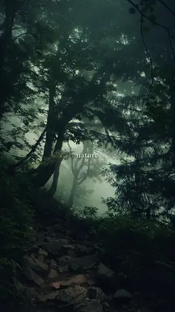 nature