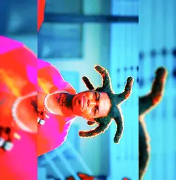 Free template rewind