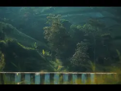 dreamy effect videos