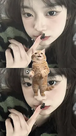 NOMIR VERSI KUCING