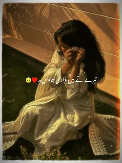 Jhol Aesthetic 