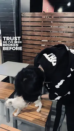 trust me i've been