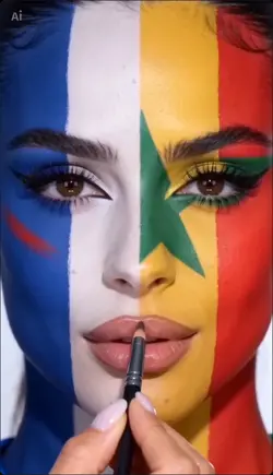 🇫🇷🇸🇳worldcup